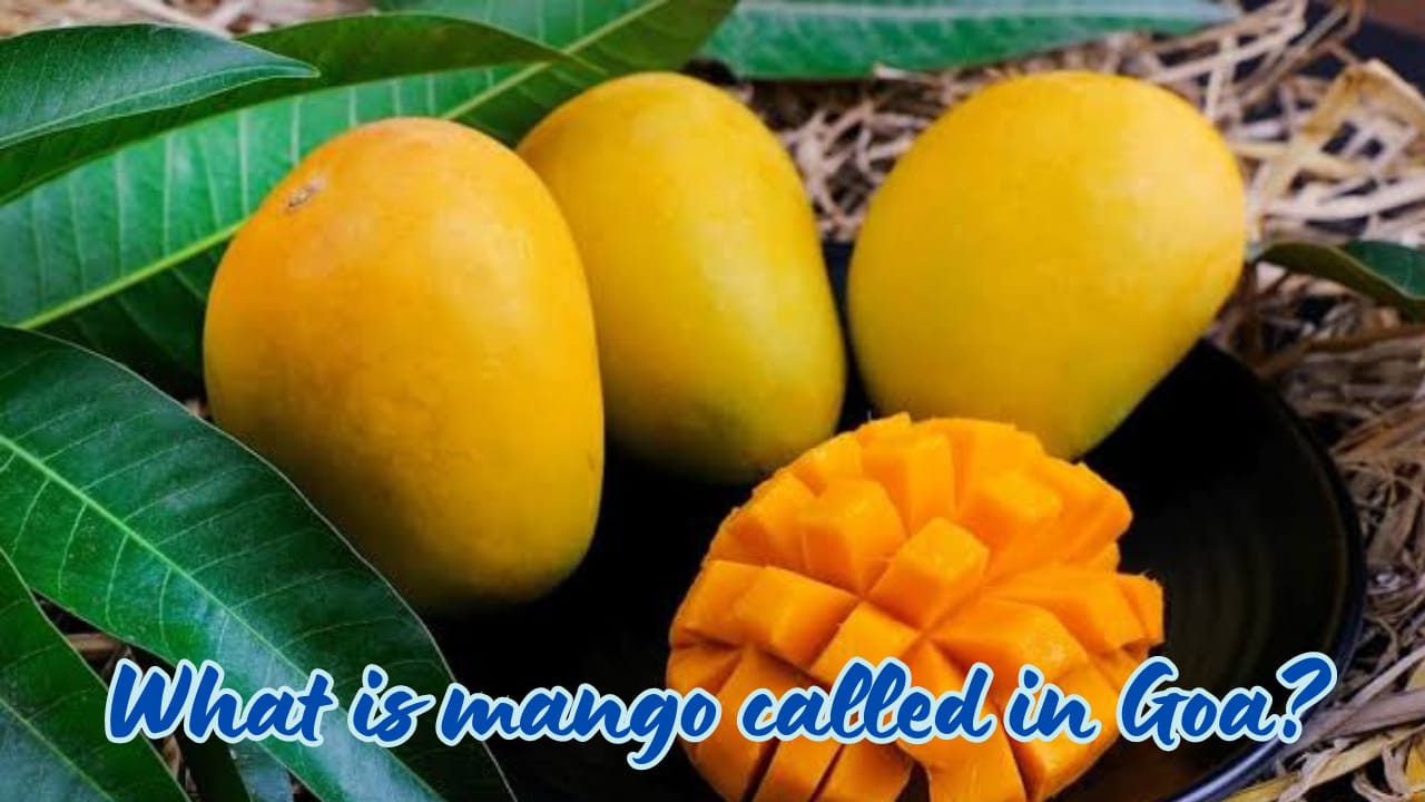 What is mango called in Goa?